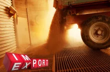 Ile zbóż i rzepaku z Ukrainy trafiło do UE w sezonie 2023/24?