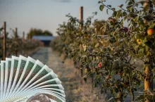 Kiedy pomoc klęskowa? ”Część gospodarstw przez 1,5 roku bez żadnego dochodu”