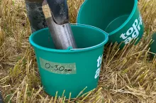 gleba pobieranie prób żniwa