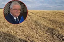 ”Grad zastąpił kombajny”. Siekierski: pracujemy nad pomocą dla rolników