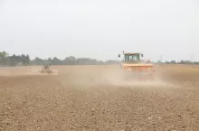 siew pszenicy w suchych warunkach