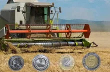 Ponad 6 tys. zł z ha z uprawy buraków. Ale opłacalność zbóż tragiczna