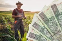 Płatność dla małych gospodarstw 2024: jak wypełnić wniosek? 