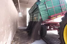 Jakie są ceny rzepaku w skupie 19 lipca?