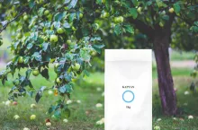 KAPTAN dopuszczony do stosowania w uprawach sadowniczych