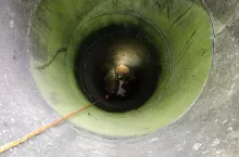 Akcja wydobycia krowy na powierzchnię trwała około 2 godzin.