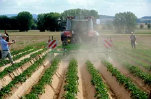 Na 20 ha terenie będą pokazy maszyn, poletka doświadczalne z odmianami ziemniaków i wiele innych atrakcji.