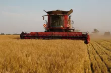 Żniwa to trudny i niebezpieczny czas.