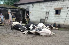 W poradzeniu sobie z dramatycznymi skutkami nawałnicy pomagali strażacy