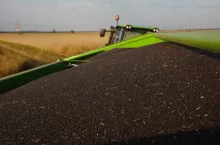 Jakie są ceny rzepaku 23 lipca?