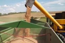 Plonowanie poszczególnych odmian zbóż, w tym pszenicy ozimej, zależy w dużym stopniu od doboru odmiany, dobrze przystosowanej do konkretnego rejinu uprawy.