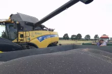 Jakie są ceny rzepaku 24 lipca?