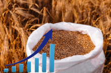 Wielokrotnie pisaliśmy o tym, że ceny referencyjne produktów rolnych ustalane przez KE nie są aktualizowane od lat, a poziom kosztów znacząco wzrósł, co prowadzi do ograniczenia pomocy ze środków unijnych i brak możliwości uruchomienia skupu interwencyjnego i innych mechanizmów kryzysowych. KRIR zapytał resort rolnictwa, czy będą zmiany w tym zakresie. Co na to MRIRW?