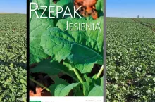 Rzepak ozimy jesienią: Odbierz bezpłatny poradnika dla rolników