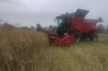 856513