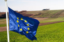 Kontrowersje w UE: Dlaczego Niemcy nie otrzymały pomocy na przymrozki?