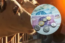 dopłaty dobrostanowe 2024