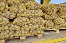 Hurtowa sprzedaż ziemniaków