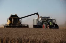 Przyśpieszona wegetacja wiosną i upalna pogoda na przełomie czerwca i lipca przyśpieszyły znacznie żniwa. Gdy zamykaliśmy 22 lipca br. ten sierpniowy numer, to z wielu regionów Polski mieliśmy od rolników sygnały o tym, że już zakończyli zbiory zbóż i rzepaku lub, że do zakończenia zbiorów pozostało niewiele hektarów. Plony są różne. W regionach, gdzie przymrozki wiosenne i susza dokuczały najbardziej straty sięgają nawet 50-56 proc. Wyjątkiem jest woj. świętokrzyskie, gdzie po lipcowym gradobiciu rolnicy stracili nawet 100 zbiorów. Tam gdzie nie było niekorzystnych zjawisk pogodowych gospodarze mówią o bardzo dobrych i dobrych plonach.
Tymczasem USDA w swoim lipcowym raporcie podniosła globalne prognozy dla pszenicy na sezon 2024/25 przewidując większe dostawy, konsumpcję, handel oraz zapasy. Z kolei IGC szacuje, że całkowita światowa produkcja zbóż w sezonie 2024/25 wzrośnie o 1% do nowego rekordowego poziomu. Tym samym globalne zbiory zbóż wyniosą nie jak przewidywano przed miesiącem 2 mld 312 mln t, a 2 mld 321 mln t. Więcej informacji znajdziesz na stronach rynkowych.