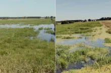 4 tys. ha pól zalanych przez rzeki. Rolnicy skarżą się na brak reakcji Wód Polskich