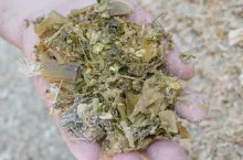 Obecność lub brak alkoholu najlepiej potwierdzi badanie kiszonki.