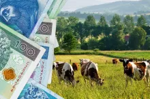 - Integrowana produkcja w moim przypadku dotyczy pszenicy, rzepaku i kukurydzy - mówi rolnik.