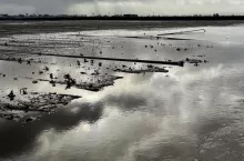 Intensywny opad deszczu