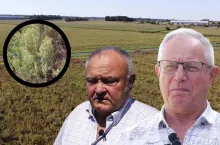 ziemia kowr dzierżawy