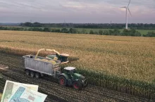 Ile za koszenie kukurydzy na kiszonkę? Ceny usług rolniczych 2024