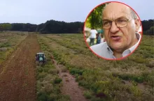 Ziemia z KOWR zarasta chwastami zamiast trafić do rolników [WIDEO]