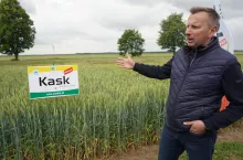 – Podaż kwalifikowanego materiału siewnego zbóż w tym roku jest zbliżona do ubiegłorocznej. Po stronie popytu nie ma natomiast czynnika napędzającego wzrost zakupów, jakim w ubiegłym roku była niekorzystna pogoda, która pogorszyła jakość zbiorów. Na korzyść tego sezonu działa ekoschemat „Integrowana produkcja roślin”, który stymuluje wzrost popytu na nasiona – mówi dr Dariusz Majchrzycki