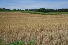 SAMSUNG DIGITAL CAMERA