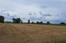 KOWR może odstąpić od pierwokupu ziemi.