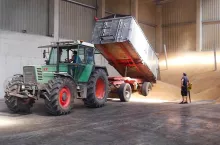 Skup zboża na Opolszczyźnie