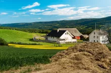 RPO chce rozszerzenia ustawy odorowej. To uderzy w rolników jeszcze bardziej