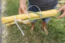 Na Kujawach grasuje bandyta! Podkłada pułapki w kukurydzy