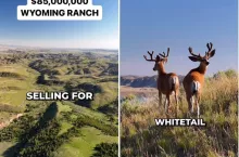 Gigantyczna farma znana z serialu Netflixa do kupienia za 85 mln dolarów