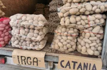 Aktualna sytuacja ziemniaków na Broniszach