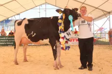 Superczempionką wśród krów została Dorota Tadeusza Stelęgowskiego z Kudelczyna