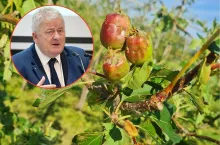 Więcej sadowników dostanie nawet 6 tys. zł pomocy