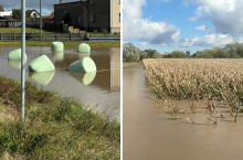 Klęska żywiołowa: jakie ułatwienia dla rolników?