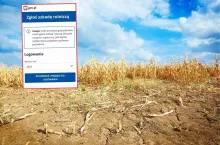 Aplikacja suszowa znów szwankuje. ”Rolnik nie może poprawić błędu”