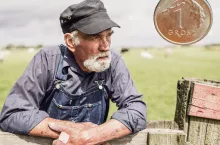Dochód z 1 ha przeliczeniowego bardzo wysoki mimo kryzysu. GUS szokuje wyliczeniami