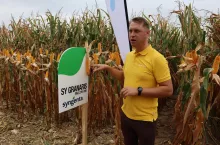 Wojciech Łączny, ekspert Syngenty, mówi o zaltech odmiany SY Granaris