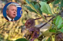 KE zgadza się na 120 mln euro dodatkowej pomocy dla rolników