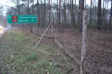 W województwie lubuskim postawiono prawie 200 km płotu, który miał zatrzymać migrację dzików