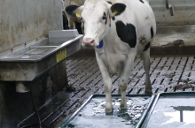 Aby upewnić się, czy roztwór do kąpieli nie drażni skóry, należy kontrolować jego poziom pH.