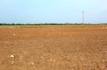 pole, gleba