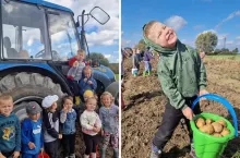 Dzieci z przedszkola jadą na wykopki, zamiast malować ziemniaka na kartce