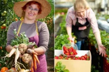 Katastrofalna sytuacja z grupami producentów rolnych. Polska traci wiele dotacji unijnych